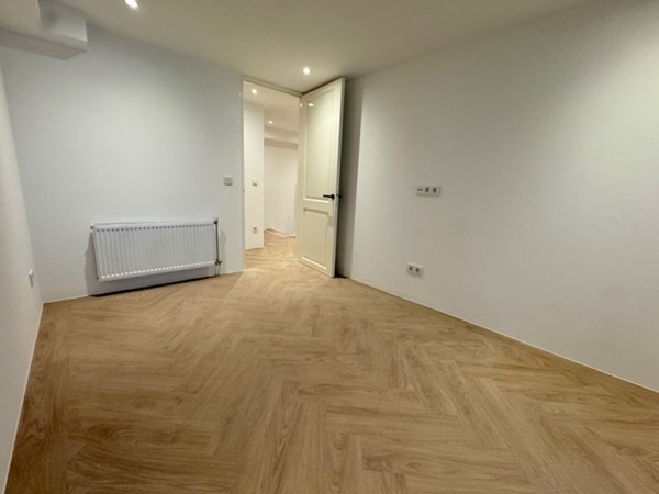 IMG_7374 Medium.jpeg